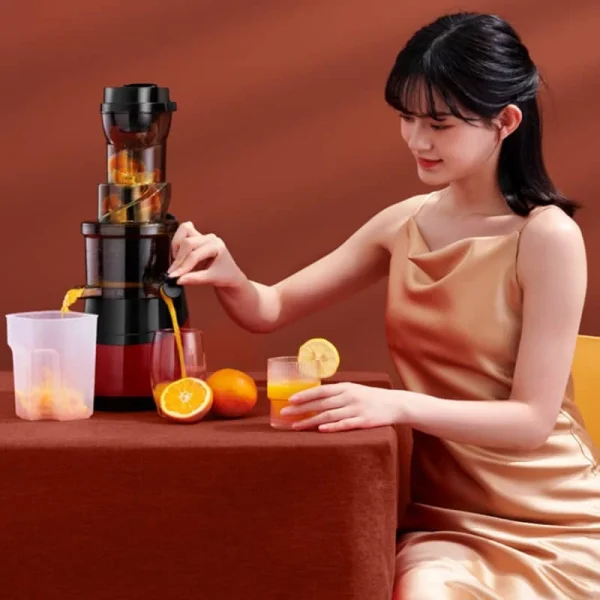 Camel Slow Juicer - Image 4